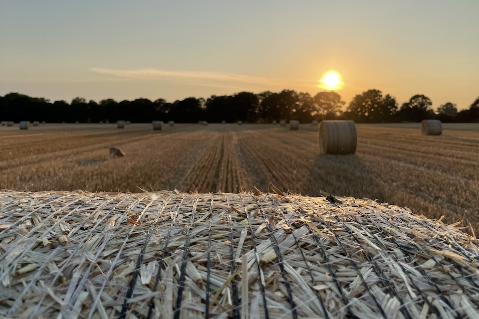 Gemähtes Kornfeld mit Heurollen im Sonnenuntergang